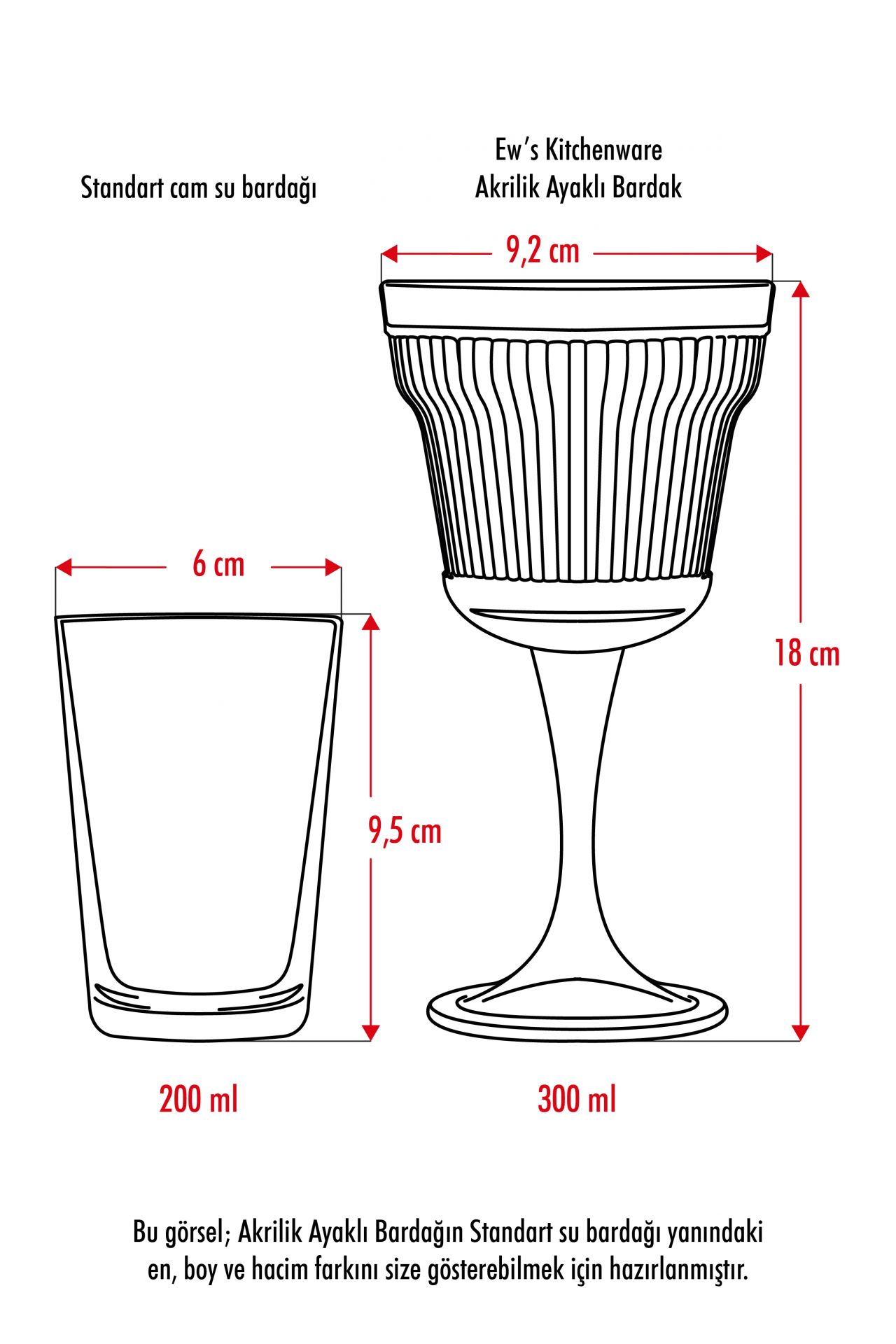 EW’s Kitchenware Akrilik Mürdüm Tekli Kadeh 300 ml