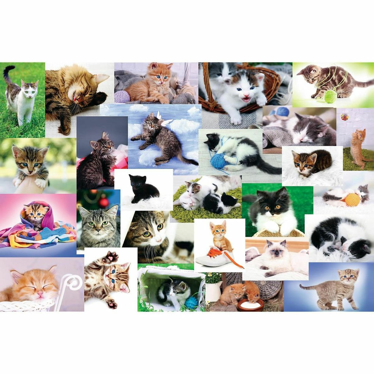 17332 Kedi Dünyası 60 Parça Puzzle -Trefl Puzzle