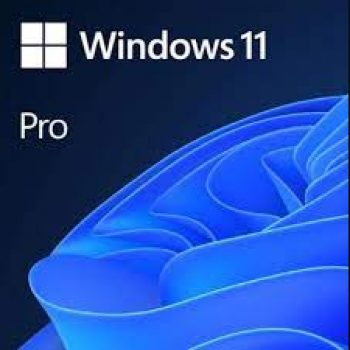 Microsoft Windows 11 Pro İşletim Sistemi ESD