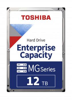 12TB TOSHIBA 7200Rpm MG07 7/24 SATA3 256MB MG07ACA12TE